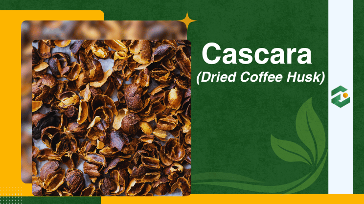 Cascara (Dried Coffee Husk)