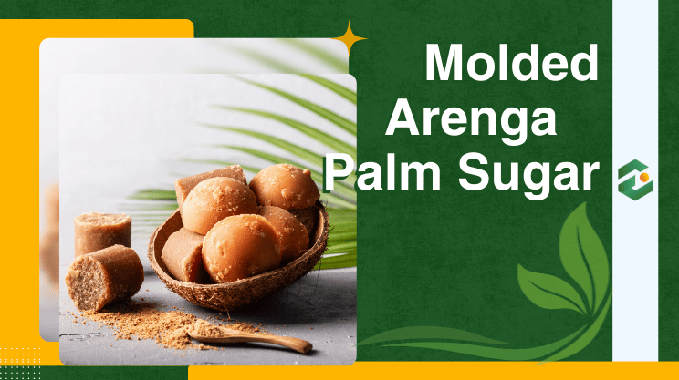 Molded Arenga Palm Sugar