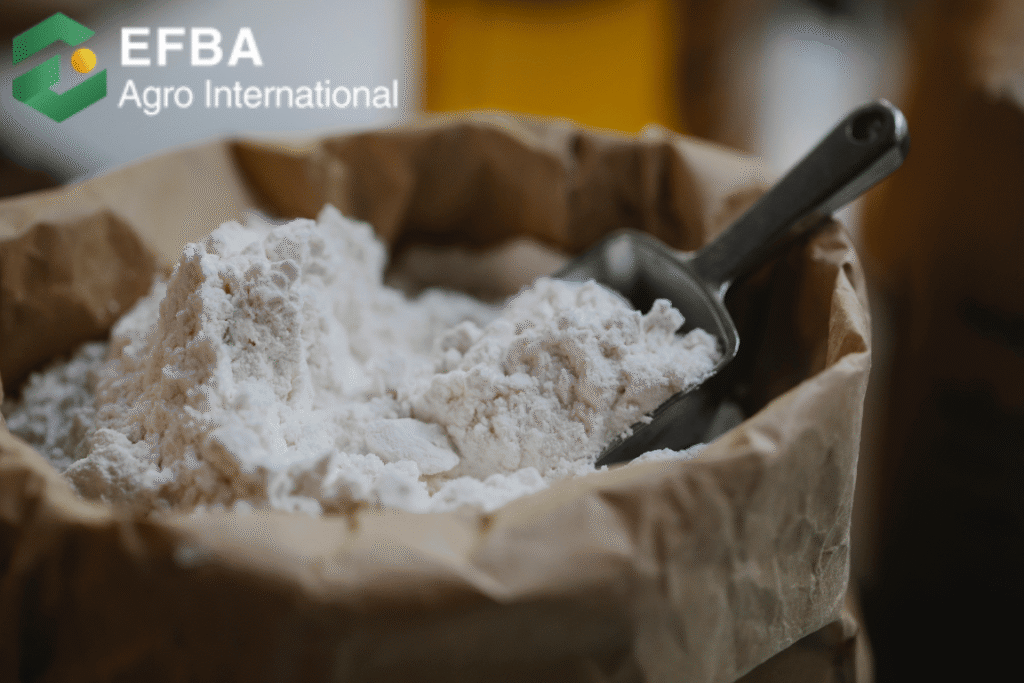 Flour Trade MOCAF: 7 Reasons It’s the Future of Gluten-Free!