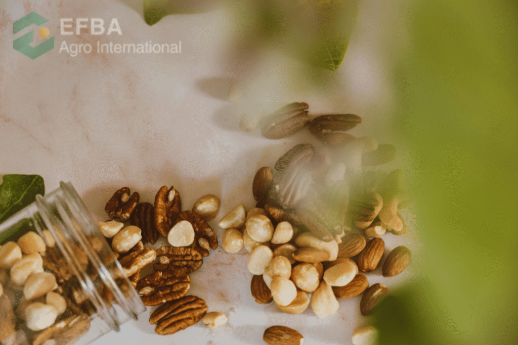 Wholesale Spices Candlenut