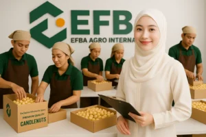 Wholesale Spices Candlenut