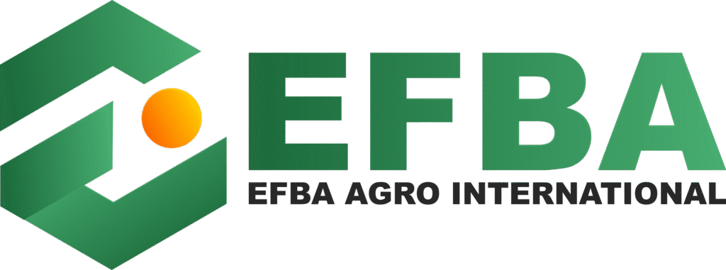 Wholesale Spices Candlenuts