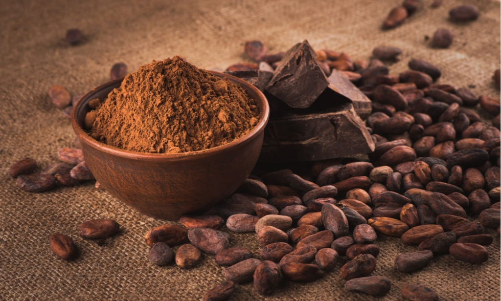 Cocoa Powder Wholesale