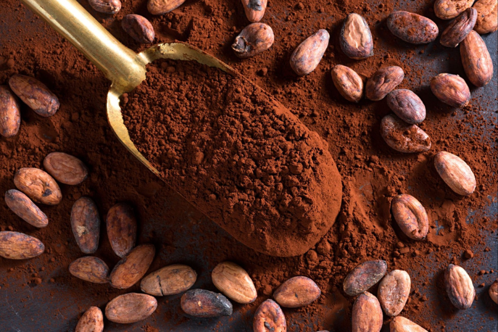Cocoa Powder Wholesale