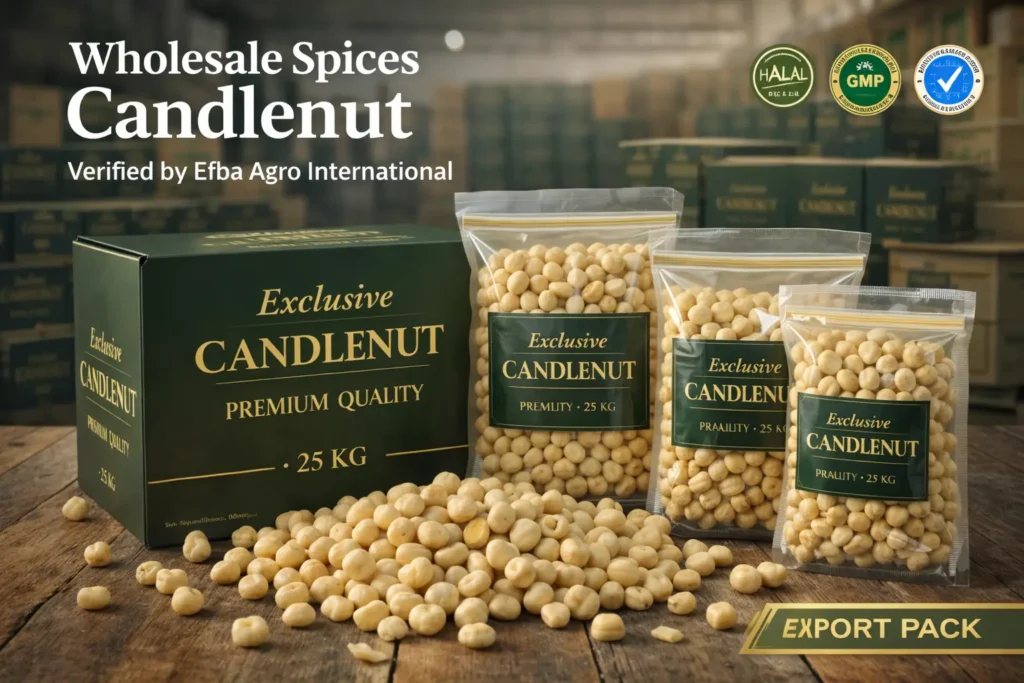Wholesale Spices Candlenut