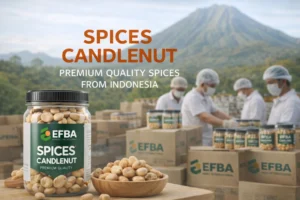 Buy Candlenut