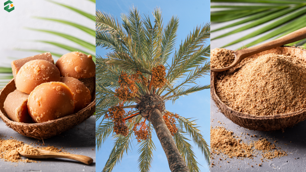 Life-Changing Palm Sugar Benefits For Your Healthy Product Formulation In 2026