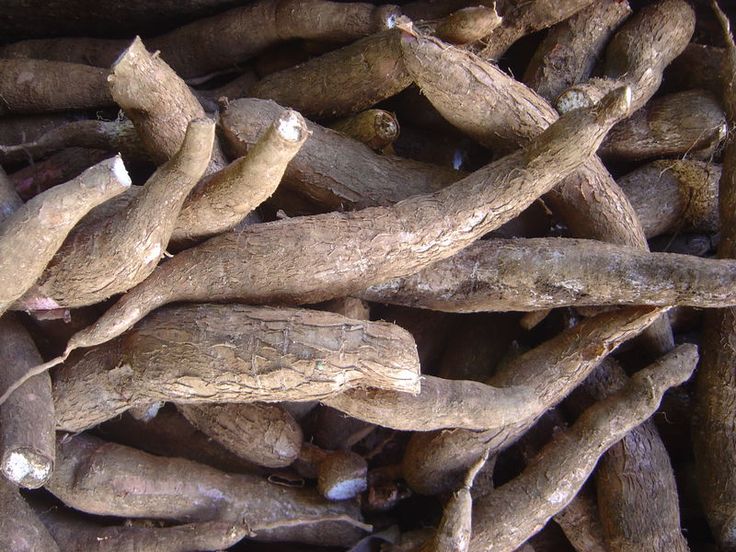 Indonesian cassava suppliers and cassava products