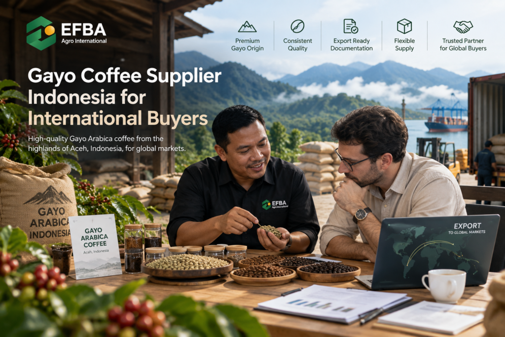 Gayo coffee supplier